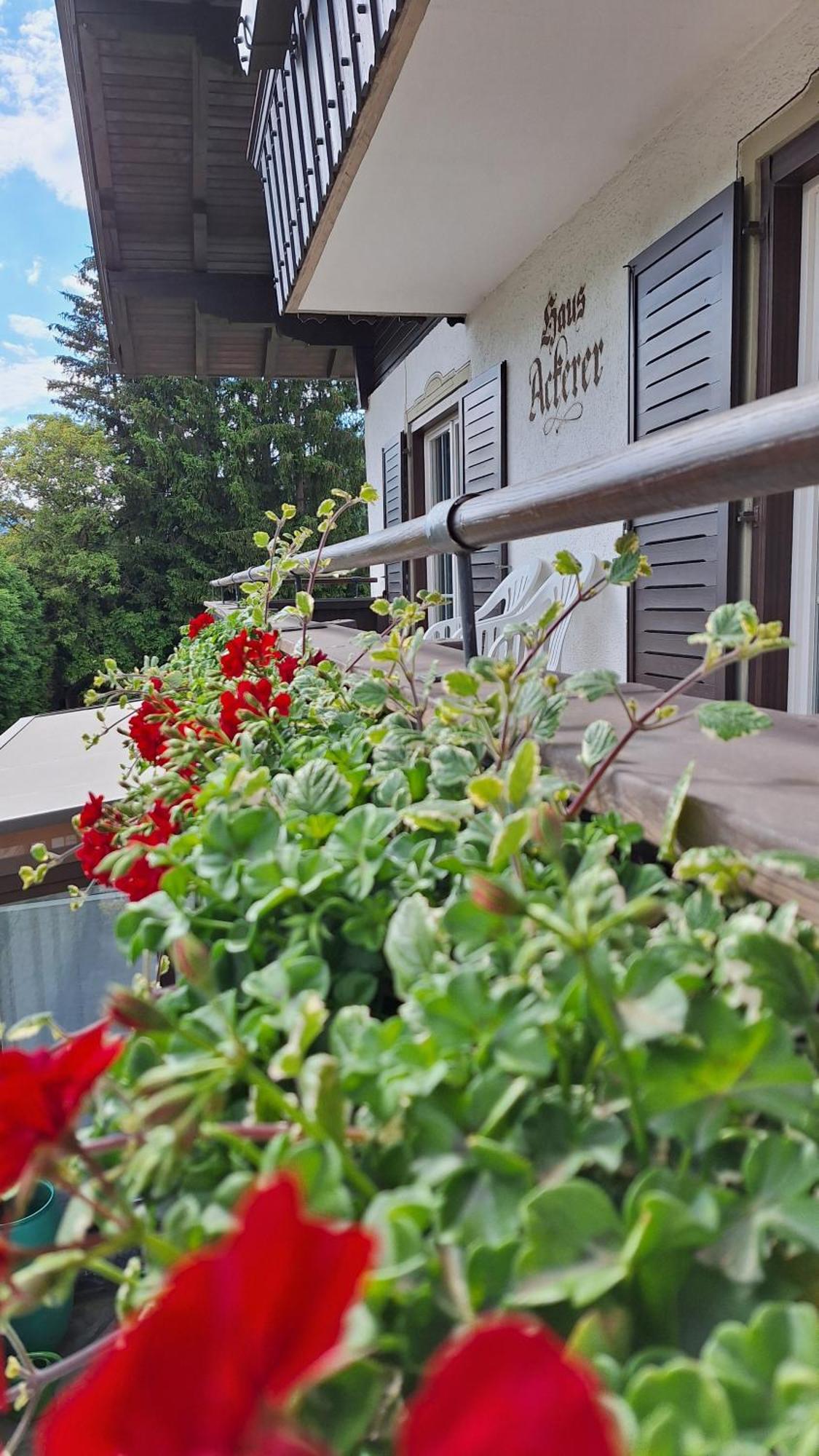 Haus Ackerer Lägenhet Leogang Exteriör bild