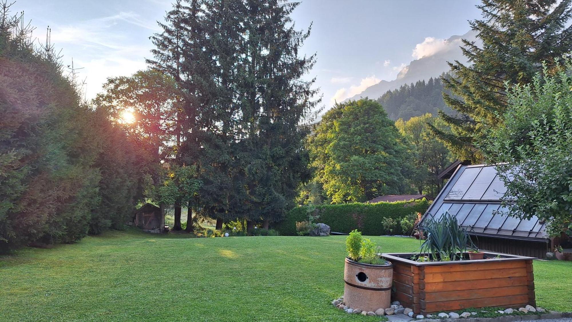 Haus Ackerer Lägenhet Leogang Exteriör bild
